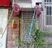 mop garden