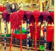 Fiona mops in Hotan